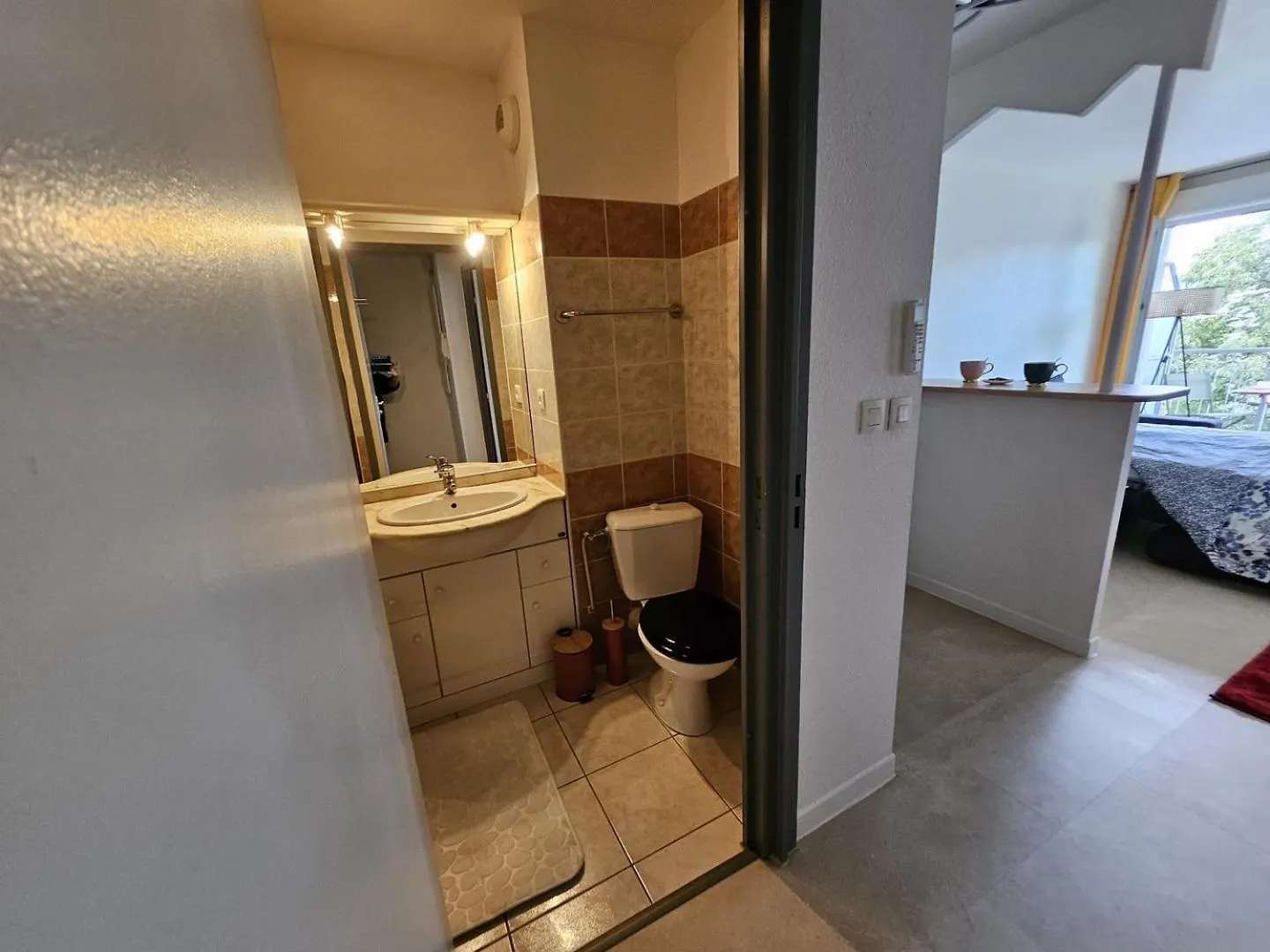 Apartment Agreable Studio - Centre Ville - Balcon Toulouse France
